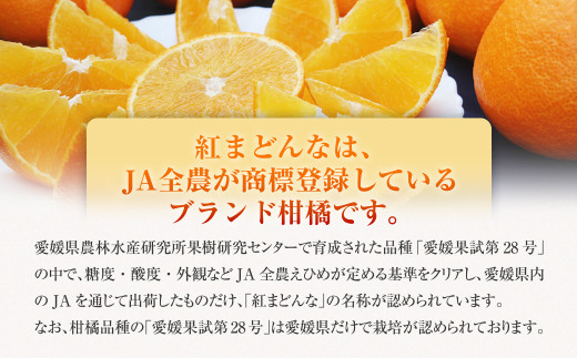 「愛媛が誇るブランド柑橘」 紅まどんな 先行予約 数量限定 約3kg