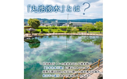 鹿児島県湧水町のふるさと納税 y148 日本名水百選の天然水「丸池湧水」ペットボトル(500ml×40本・計20L)  国産 九州産 水 みず 飲料水 名水 湧き水 湧水 500ml 常温 常温保存 ミネラルウォーター【栗太郎館】