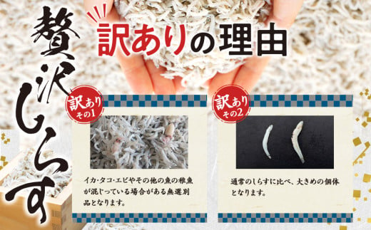 愛知県南知多町のふるさと納税 しらす 2kg ( 1kg × 2箱 ) 訳あり 冷凍 ちりめん かちり しらす干し 減塩 釜揚げ ごはん 丼 パスタ チャーハン サラダ 魚 料理 愛知県 南知多町 師崎