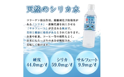 鹿児島県湧水町のふるさと納税 y148 日本名水百選の天然水「丸池湧水」ペットボトル(500ml×40本・計20L)  国産 九州産 水 みず 飲料水 名水 湧き水 湧水 500ml 常温 常温保存 ミネラルウォーター【栗太郎館】