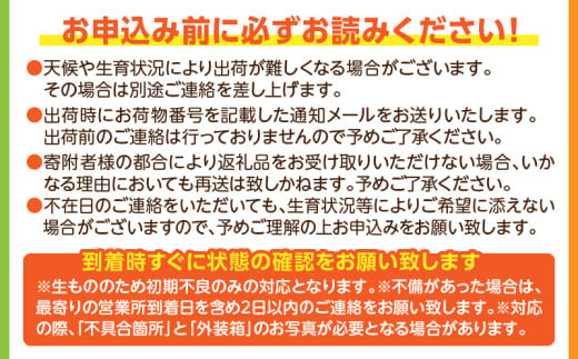 宮崎県宮崎市のふるさと納税 《2025年発送先行予約》【期間・数量限定】宮崎特産品　宮崎県産完熟マンゴー　3L×2個_M275-002