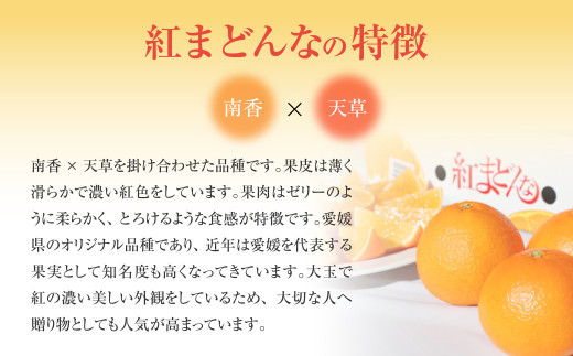 「愛媛が誇るブランド柑橘」 紅まどんな 先行予約 数量限定 約3kg