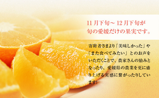 「愛媛が誇るブランド柑橘」 紅まどんな 先行予約 数量限定 約3kg
