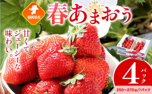 福岡県産 春あまおう 4パック 南国フルーツ株式会社《2月上旬-3月末頃出荷》福岡県 小竹町 あまおう いちご イチゴ 送料無料【配送不可地域あり】 1552932 - 福岡県小竹町