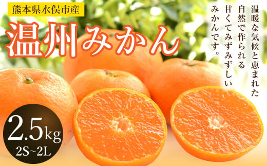 温州みかん 約2.5kg 2S～2L みかん 果物 くだもの フルーツ 柑橘 【2024年12月上旬までに発送予定】 1543869 - 熊本県水俣市