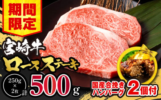 【2025年2月発送】【期間・数量限定】宮崎牛ロースステーキ250g×2 合挽きハンバーグ100g×2個 合計700g_M132-014-B-feb 1126262 - 宮崎県宮崎市