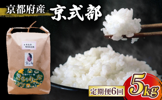 【 定期便6回】 京都府産 米 京式部 定期便 6回 5kg 5キロ 令和6年産 米 白米 精米 こめ おこめ ブランド米 京都府 1115883 - 京都府京都府庁