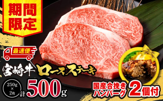 [選べる発送月][期間・数量限定]宮崎牛ロースステーキ250g×2 合挽きハンバーグ100g×2個 合計700g | 牛肉 国産牛 宮崎牛 和牛 ステーキ ロース ロースステーキ 国産 霜降り 贈答 ギフト 贈り物 記念日 焼肉 BBQ 冷凍 おすすめ |_M132-014-SKU