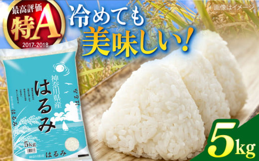 【数量限定】お米 はるみ 5kg 希少 米 おこめ 特A コメ 精米 さっぱり 粘り おにぎり お弁当 精米 5キロ 白米【株式会社ヨコショク】 [AKGC001] 1544131 - 神奈川県横須賀市