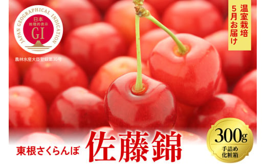 2025年【5月お届け】GI東根さくらんぼ 佐藤錦 特秀品 Lサイズ300g化粧箱詰め 東根農産センター提供 山形県 東根市 hi027-161-1 566010 - 山形県東根市