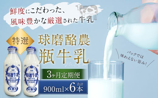 【3ヶ月定期便】 球磨酪農 特選瓶牛乳 （900ml×2本） びん牛乳