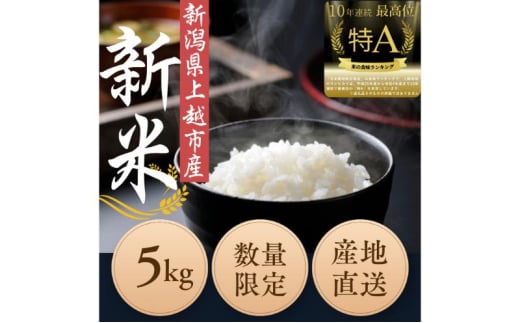 令和6年度産　上越市産コシヒカリ　5kg　新米　精米　新潟　米　新潟県　こしひかり　限定　おすすめ 1555942 - 新潟県上越市