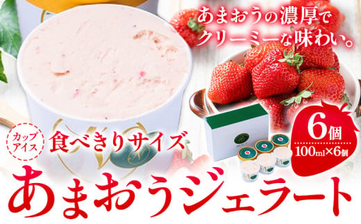 あまおうジェラート 100ml×6個 南国フルーツ株式会社《30日以内に出荷予定(土日祝除く)》福岡県 小竹町 あまおう いちご ジェラート 果物 送料無料 1552765 - 福岡県小竹町