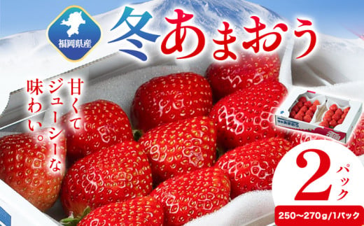 福岡県産 冬あまおう 2パック 南国フルーツ株式会社《12月上旬-1月末頃出荷》福岡県 鞍手町 あまおう いちご イチゴ 送料無料【配送不可地域あり】 1553164 - 福岡県鞍手町