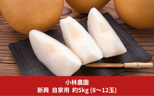 和梨 新興 自家用 約5kg 梨 新潟フルーツ 新潟県産 [小林農園] 【010P075】 921103 - 新潟県三条市