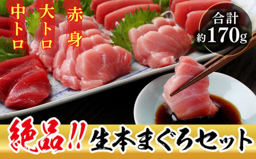 【冷蔵・指定日着可】絶品！国産生本マグロ堪能セット 大トロ約50g + 中トロ約50g + 赤身約70g 合計約170g（柵どり） 380697 - 福井県越前市