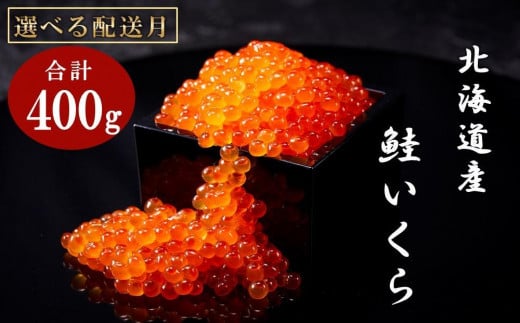 【2月発送】北海道産 いくら（鮭卵）醤油漬け 大容量400g(200g×2パック) 国産 小分けパック イクラ 海鮮丼 ギフト 贈り物 魚介類 魚介 海産物 鮭 シャケ しゃけ 生産者 支援 応援 1550569 - 北海道羅臼町