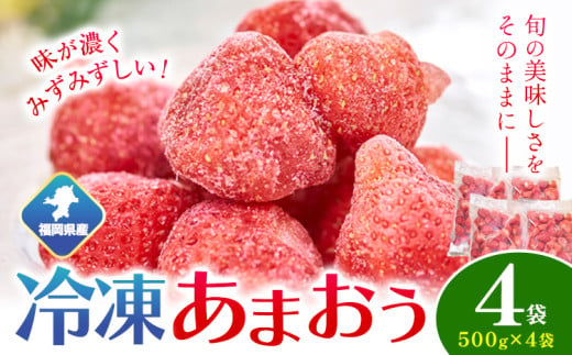 福岡県産 冷凍あまおう2kg(500g×4袋) 南国フルーツ株式会社《12月中旬-3月末頃出荷(土日祝除く)》福岡県 小竹町 あまおう いちご イチゴ 送料無料【配送不可地域あり】 1552977 - 福岡県小竹町