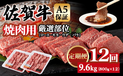 【定期便】佐賀牛 A5 焼肉用 厳選部位 800g 12回定期 計9.6kg(800gx12) 桑原畜産 ブランド牛 小分け 赤身 黒毛和牛 高評価 牛肉 人気 佐賀県 小城市  1552907 - 佐賀県小城市