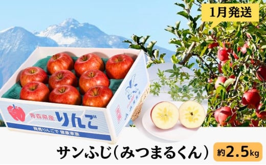 りんご 【 1月発送 】 サンふじ （ みつまるくん ）約 2.5kg 糖度13度以上 【 弘前市産 青森りんご 】 684401 - 青森県弘前市