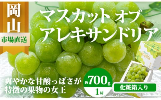 Cz-8　【令和7年発送・先行予約】岡山県産　マスカットオブアレキサンドリア（700g以上・秀品以上）1房　化粧箱入り 1509596 - 岡山県和気町