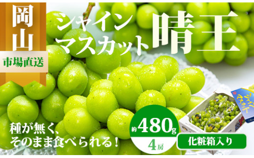 MM-25　【令和7年発送・先行予約】岡山県産　シャインマスカット（1房480g以上・約2kg・晴王）4房 778014 - 岡山県和気町