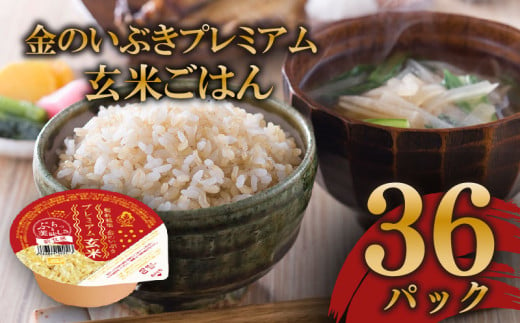 玄米ごはんパック 120g 36個 玄米 米 お米 ごはん ご飯 こめ パックライス パックご飯 パックごはん ご飯パック ごはんパック パック ライス 備蓄 保存 非常 防災 電子 レンジ 温めるだけ レンチン 簡単 健康 ダイエット 美容 ヘルシー 36 36食 レトルト インスタント おいしい 人気 おすすめ 金のいぶき 大阪府 松原市 1550912 - 大阪府松原市