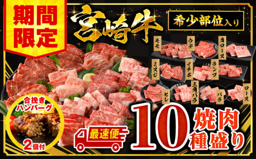 [選べる発送月][期間限定]宮崎牛焼肉10種盛り合わせ+合挽きハンバーグ100g×2個 | 牛肉 宮崎牛 和牛 国産 焼肉 盛り合わせ 10種 食べ比べ 盛り合わせ モモ ウデ ロース 肩ロース バラ ミスジ ランプ イチボ 三角バラ ヒレ BBQ 料理 セット 宮崎県産 人気 おすすめ 贈答 ギフト 記念日 冷凍 |_M132-067-SKU