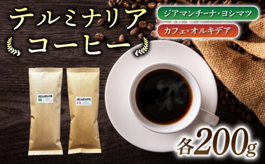 【粉に挽く】産地違いコーヒー豆　2種類飲み比べ各200g｜テルミナリアコーヒー 1551990 - 長野県東御市