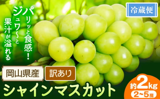 シャインマスカット訳あり  約2kg(2~5房)【先行予約】 花田青果株式会社《2025年9月上旬-10月末頃出荷》マスカット 送料無料 岡山県 浅口市 シャインマスカット ぶどう フルーツ 果物 贈り物 ギフト【配送不可地域あり】