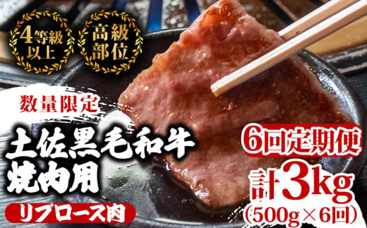 【定期便6回】土佐 黒毛 和牛 焼肉用 計3kg（500g×6ヶ月連続お届け) 4Oコース | 特撰 リブロース ロース 最上位等級 A4 A5 最高ランク 贅沢 焼き肉 やきにく 小分け 冷凍 国産 ブランド 和牛 牛肉 大人気 ギフト リピート リピーター おすすめ ランキング おいしい 限定 高評価 BBQ バーベキュー キャンプ アウトドア 高知県 須崎 TM95000 1703636 - 高知県須崎市