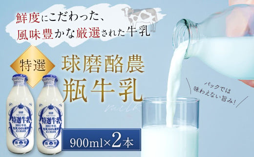 球磨酪農 特選瓶牛乳 （900ml×2本） びん牛乳