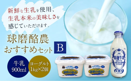 球磨酪農おすすめセットB （瓶牛乳&ヨーグルト加糖×2個） 乳製品