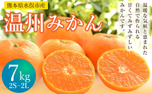 温州みかん 約7kg 2S～2L みかん 果物 くだもの フルーツ 柑橘 【2024年12月上旬までに発送予定】 1543870 - 熊本県水俣市