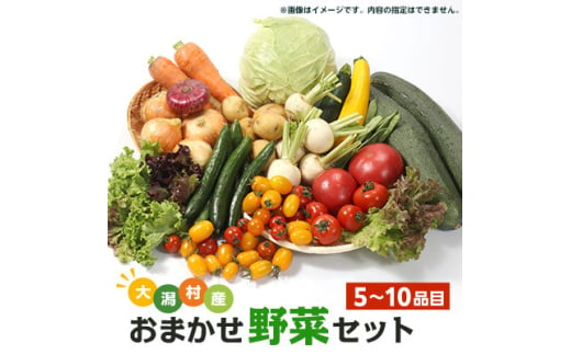 ＜数量限定＞大潟村産おまかせ野菜セット＜5～10品目＞【1525600】 1496685 - 秋田県大潟村