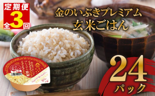 定期便 3回 玄米ごはんパック 120g 24個 玄米 米 お米 ごはん ご飯 こめ パックライス パックご飯 パックごはん ご飯パック ごはんパック パック ライス 備蓄 保存 非常 防災 電子 レンジ 温めるだけ レンチン 簡単 健康 ダイエット 美容 ヘルシー 24 24食 レトルト インスタント おいしい 人気 おすすめ 金のいぶき 大阪府 松原市 1550915 - 大阪府松原市