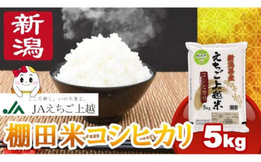 JAえちご上越棚田米コシヒカリ 5kg 上越市 精米 米 1555945 - 新潟県上越市