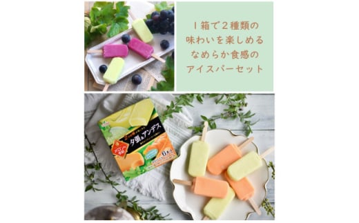 ぶどうの季節・メロンの季節　アイスバー食べ比べセット　各3箱【1432316】 1981868 - 栃木県栃木県庁
