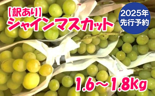 [2025年発送分 先行予約][訳あり]徳用シャインマスカット*本州のみの地域限定配送品 訳アリ 訳あり品 シャイン マスカット ぶどう ブドウ 葡萄 徳用 家庭用 ご家庭用 旬 新鮮 くだもの 果物 フルーツ 山梨 やまなし 富士川町