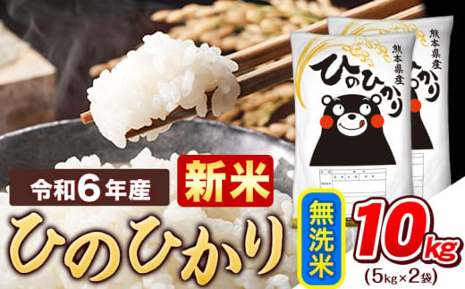 令和6年産 新米 早期先行予約受付中 無洗米 ひのひかり 10kg 《11月-12月より出荷予定》令和6年産 熊本県産 ふるさと納税 精米 ひの 米 こめ ふるさとのうぜい ヒノヒカリ コメ お米 おこめ