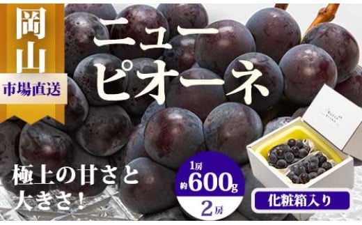 EE-64　【令和7年発送・先行予約】岡山県産　ニューピオーネ（1房600g以上）2房　化粧箱入り 1509670 - 岡山県和気町