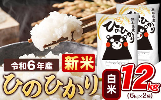 令和6年産 新米 早期先行予約受付中 白米 ひのひかり 12kg 《11月-12月より出荷予定》令和6年産 熊本県産 ふるさと納税 精米 ひの 米 こめ ふるさとのうぜい ヒノヒカリ コメ お米 おこめ