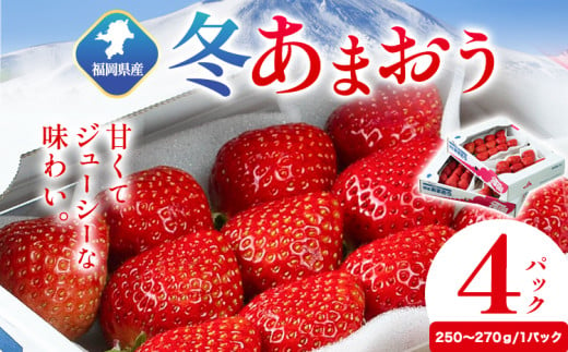 福岡県産 冬あまおう 4パック 南国フルーツ株式会社《12月上旬-1月末頃出荷》福岡県 鞍手町 あまおう いちご イチゴ 送料無料【配送不可地域あり】 1553165 - 福岡県鞍手町