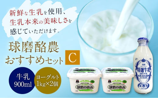 球磨酪農おすすめセットC （瓶牛乳&ヨーグルト砂糖不使用×2個） 乳製品 プレーンヨーグルト