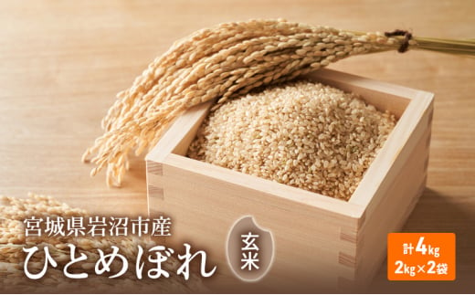 令和6年度産 ひとめぼれ玄米2kg×2袋 宮城県 岩沼市 玄米 お米 米 ごはん ご飯 単一原料米[№5704-0881] 1552927 - 宮城県岩沼市