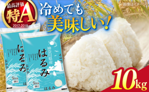 【数量限定】お米 はるみ 10kg 希少 米 おこめ 特A コメ 精米 さっぱり 粘り おにぎり お弁当 精米 10キロ 白米【株式会社ヨコショク】 [AKGC002] 1544132 - 神奈川県横須賀市