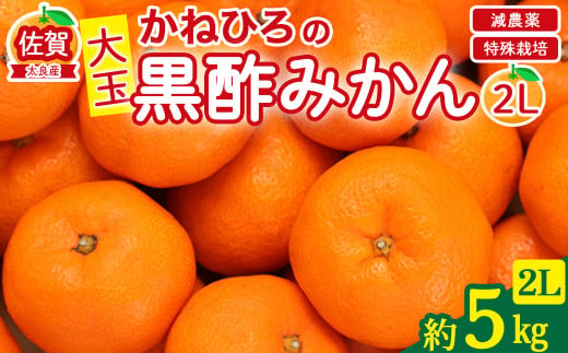 かねひろの黒酢みかん（大玉）5kg  2Lサイズ 新鮮 黒酢アミノ酸 みかん 蜜柑 ミカン 柑橘 果実 フルーツ 人気 おすすめ 10kg 佐賀県 太良町 M106 1552335 - 佐賀県太良町