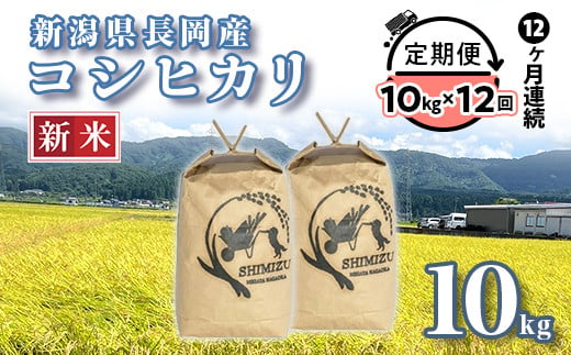 N5-10Z【12ヶ月連続お届け】新潟県長岡産コシヒカリ10kg