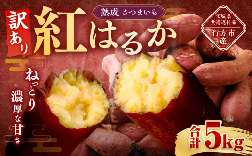 【 訳あり 】“熟成” 茨城県産 さつまいも 【 紅はるか 】 約5kg （茨城県共通返礼品・行方市産） 芋 いも サツマイモ 野菜 やさい 国産 1402934 - 茨城県神栖市