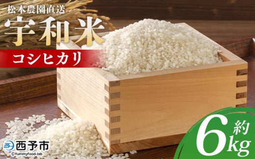 ＜令和6年産 松本農園直送 宇和米（コシヒカリ）約6kg＞ こしひかり 米 コメ こめ 白米 精米 うわまい ウワマイ ご飯 新鮮 6キロ お弁当 朝 昼 夜 国産 特産品 愛媛県 西予市【常温】 249273 - 愛媛県西予市